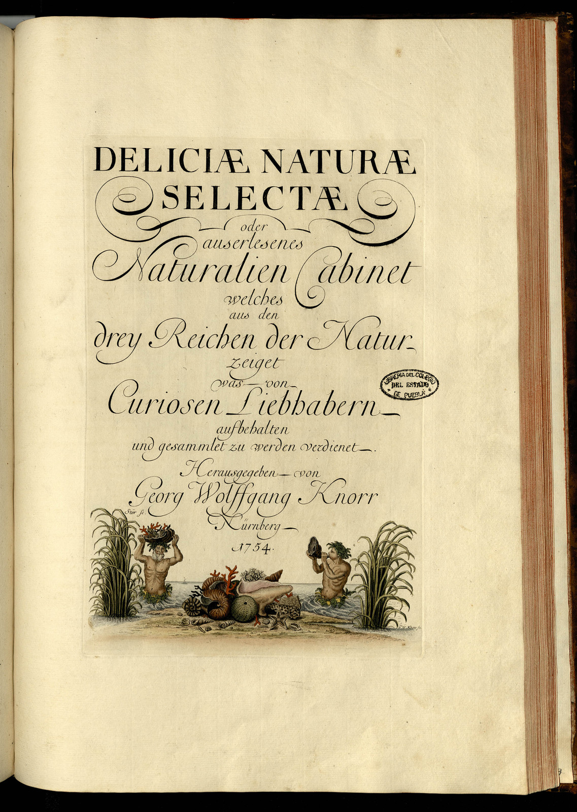 Deliciae naturae selectae oder auserlesenes Natüralien-Cabinet, welches aus den drey Reichen der Natur zeiget was von curiösen Liebhabern aufbehalten und gesammlet zu werden verdienet. Tomo I.
